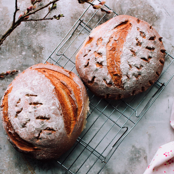 Sourdough Rice Bread