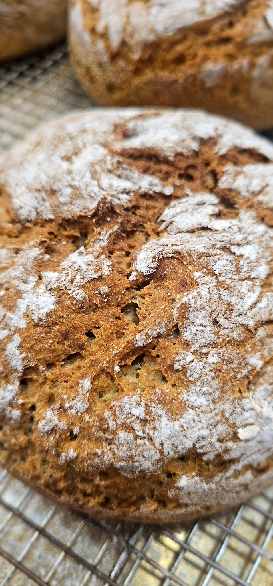 Sourdough Rice Bread