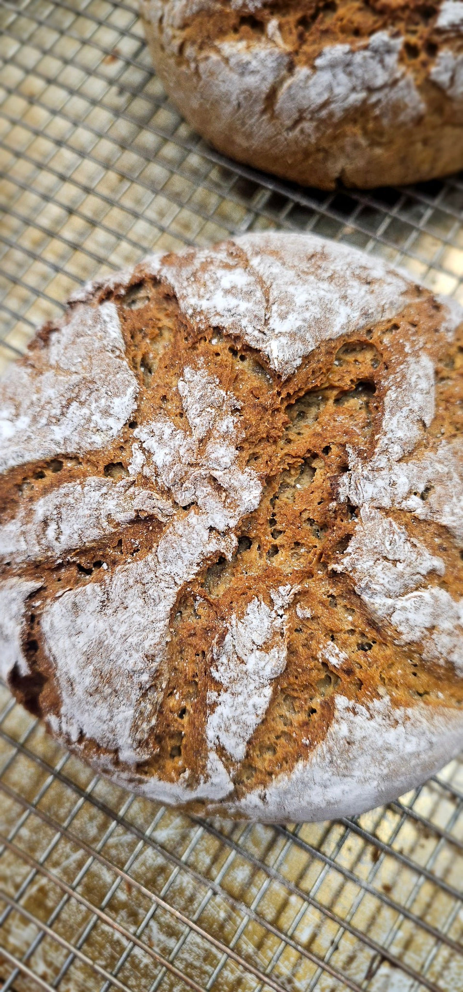 Sourdough Quinoa Bread